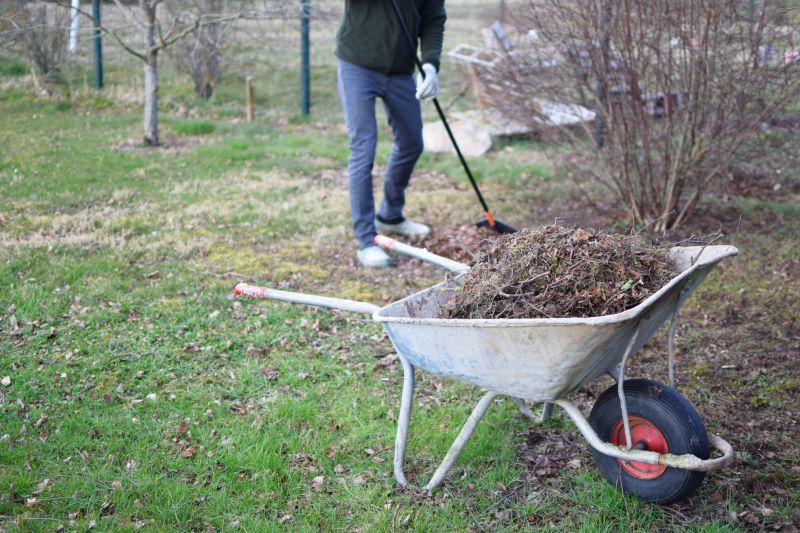 Guide to Brush Pickup Services and Procedures