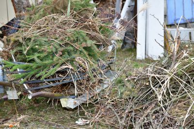 Brush Pickup Services for Contractors