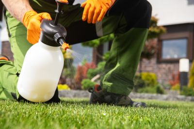 Brush Pickup Services and Options