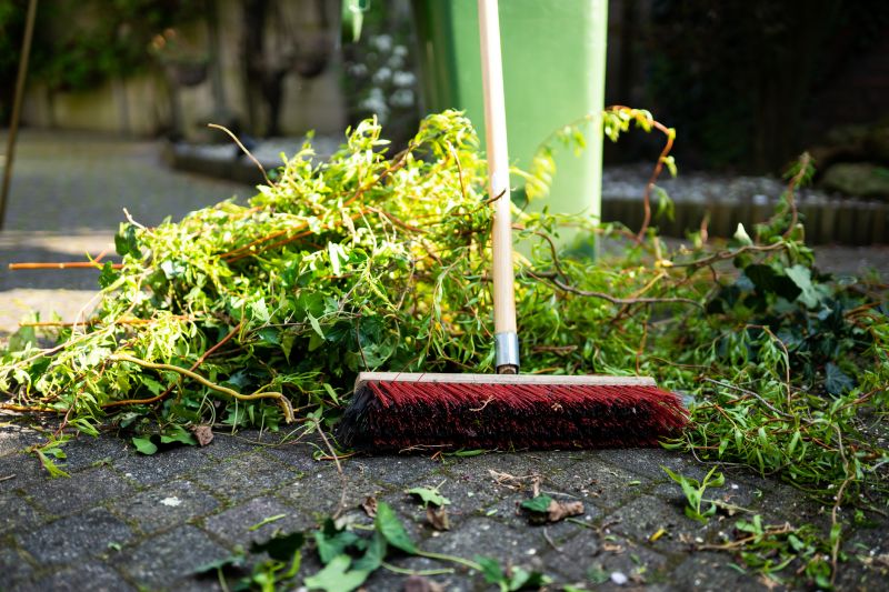 Brush Pickup Promotions and Notices