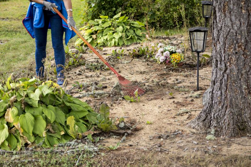 Spring Yard Cleanup