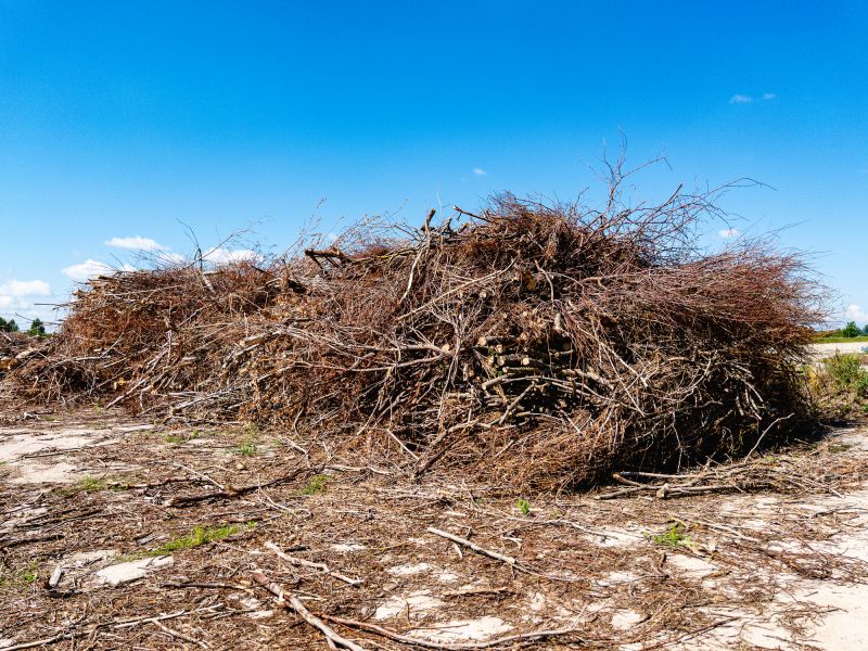 Storm Damage Cleanup