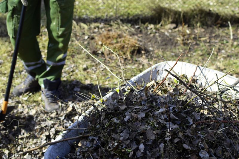 Seasonal Brush Removal