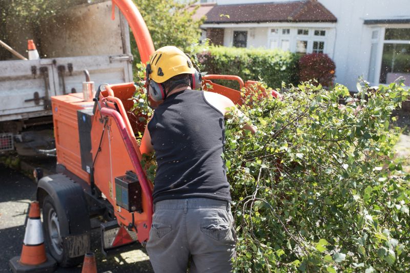 Removing debris helps prevent infestations near your home