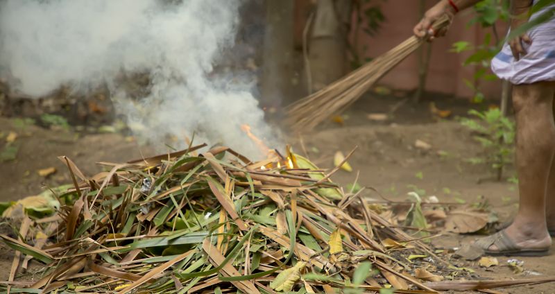 A clean yard enhances the overall appearance of your home